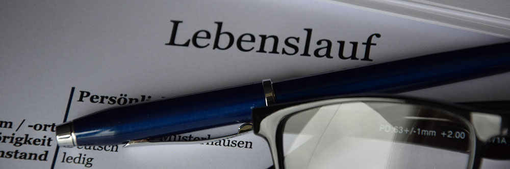 lebenslauf